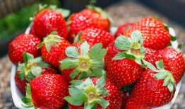 吃瓜爆料qq群2022草莓,吃瓜爆料QQ群里的甜蜜风暴