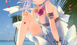 h版动漫,探索奇幻世界，邂逅热血青春